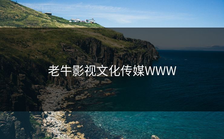 老牛影视文化传媒WWW