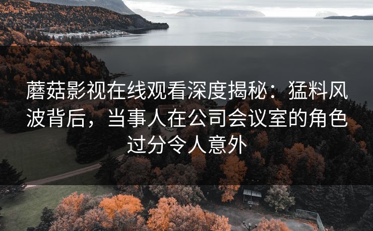 蘑菇影视在线观看深度揭秘:猛料风波背后,当事人在公司会议室的角色过分令人意外 蘑菇影视在线观看深度揭秘:猛料风波背后,当事人在公司会议室的角色过分令人意外